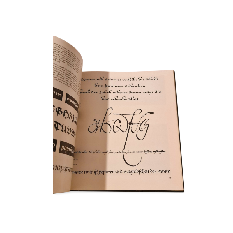Schrift und Schreiben  Praktinis vadovas kaligrafijai ir tipografijai