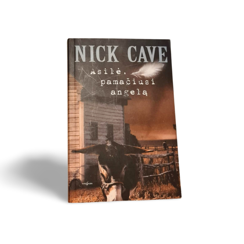 Asilė, pamačiusi angelą Nick Cave
