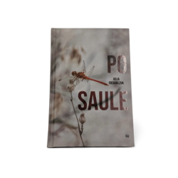 Po saule Julia Fiedorczuk