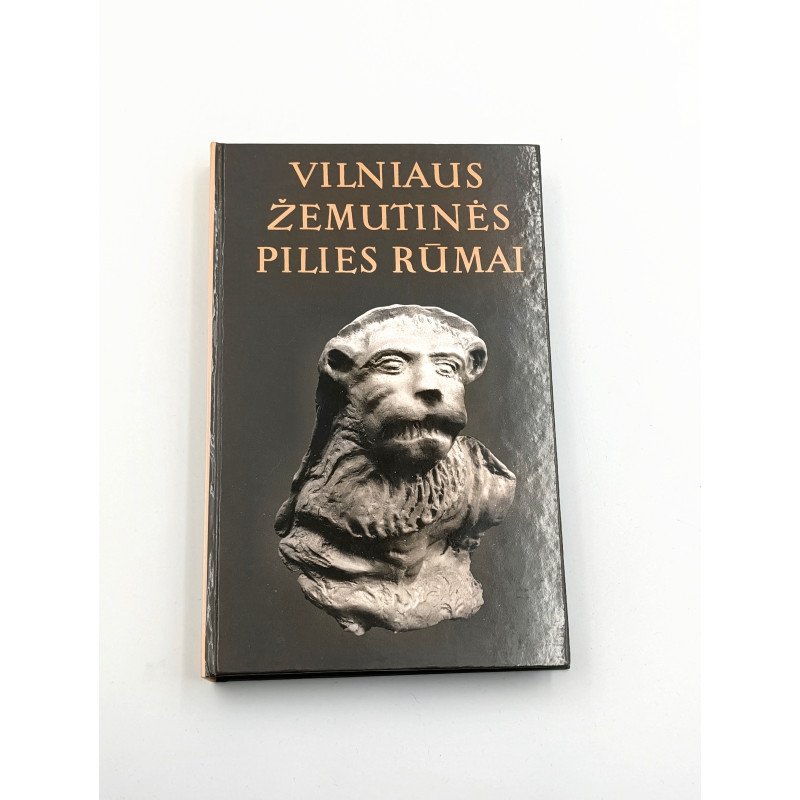 Vilniaus Žemutinės pilies rūmai