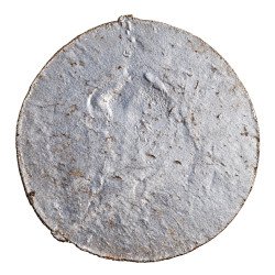 Vintažinis aliuminio bareljefas „Gediminas 1316–13