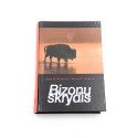 Bizonų skrydis – James A. Belasco, Ralph C. Stayer