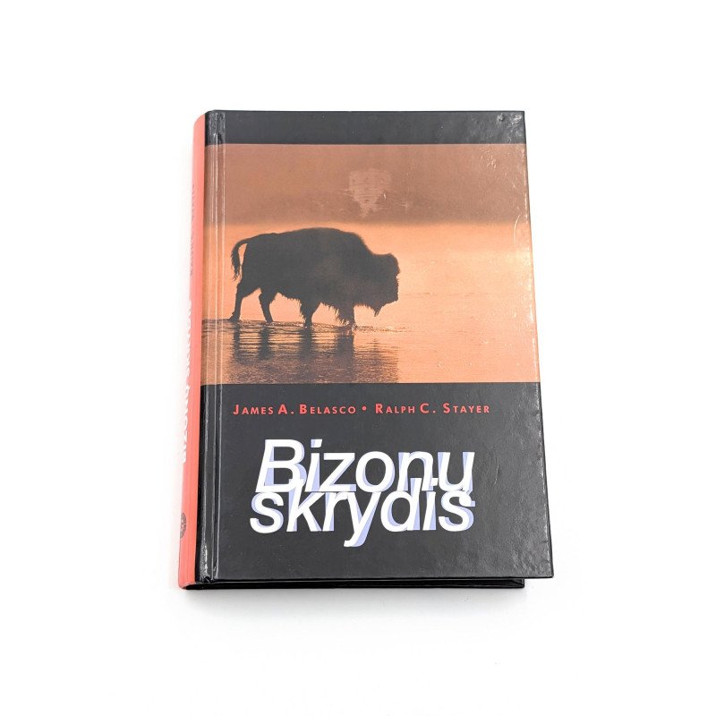 Bizonų skrydis – James A. Belasco, Ralph C. Stayer