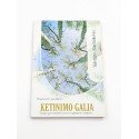 Ketinimo galia – Valerijus Sinelnikovas