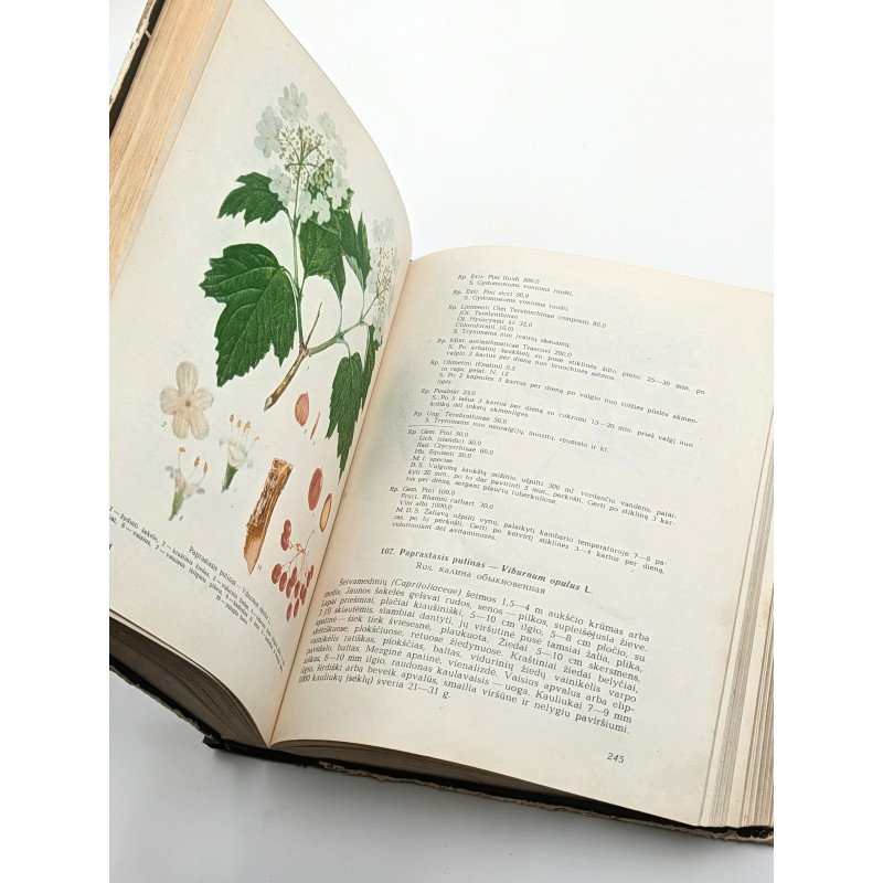 Vaistiniai augalai 1973