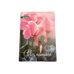 Gėlės namuose
